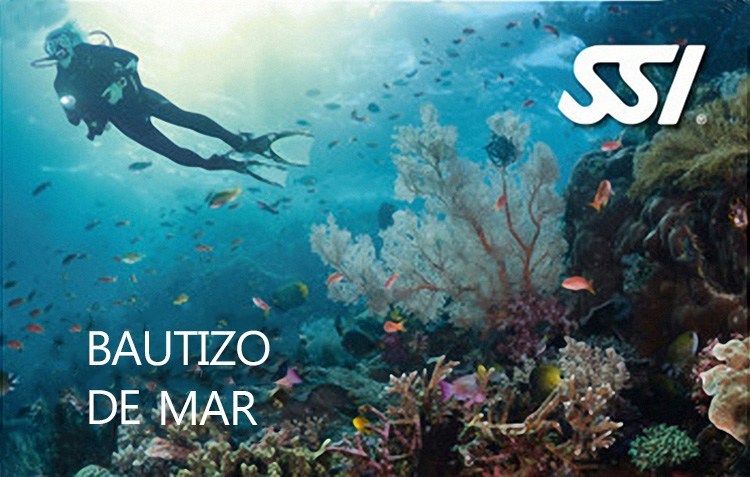 bautizo buceo tarragona